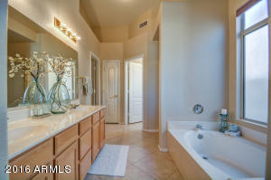 6566 E Melrose St, Mesa, AZ 85215 photo 25
