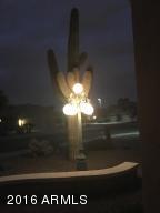 637 W Scott Ave, Gilbert, AZ 85233 photo 35