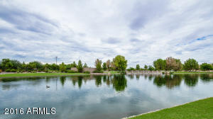 4637 E Ironhorse Rd, Gilbert, AZ 85297 photo 47