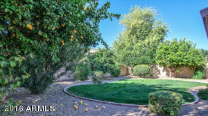 4637 E Ironhorse Rd, Gilbert, AZ 85297 photo 38