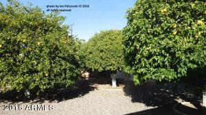 6044 E Butte St, Mesa, AZ 85205 photo 22