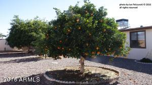 6044 E Butte St, Mesa, AZ 85205 photo 20