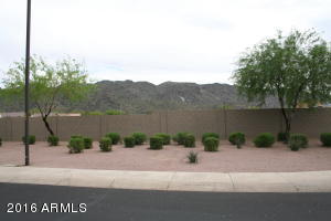 902 E Beth Dr, Phoenix, AZ 85042 photo 9