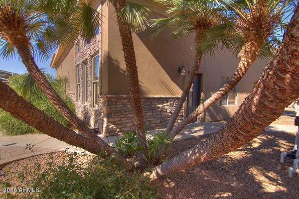 314 S 162nd St, Gilbert, AZ 85296 photo 41