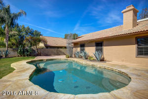 533 E Terrace Ave, Gilbert, AZ 85234 photo 5