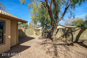 533 E Terrace Ave, Gilbert, AZ 85234 photo 14