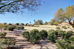 5740 E Julep St, Mesa, AZ 85205 photo 15