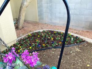 1496 E Joseph Way, Gilbert, AZ 85295 photo 20