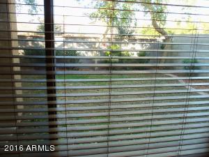 1496 E Joseph Way, Gilbert, AZ 85295 photo 17