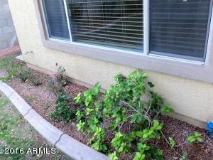 1496 E Joseph Way, Gilbert, AZ 85295 photo 22