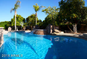 4319 E Hope St, Mesa, AZ 85205 photo 29