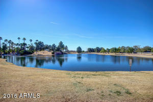 1468 E Tremaine Ave, Gilbert, AZ 85234 photo 23