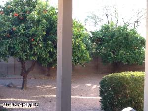 2231 E Donald Dr, Phoenix, AZ 85024 photo 40