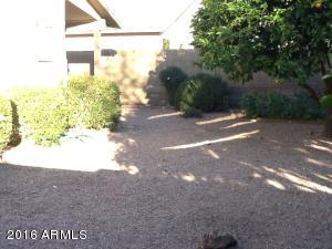 2231 E Donald Dr, Phoenix, AZ 85024 photo 41