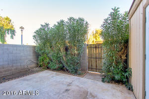 1027 E Redfield Rd, Tempe, AZ 85283 photo 18