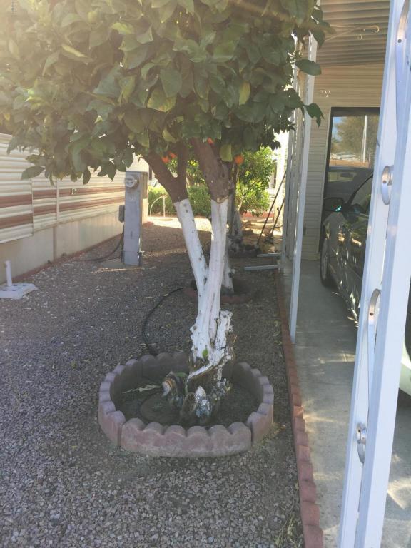 7750 E Broadway Rd #366, Mesa, AZ 85208 photo 31