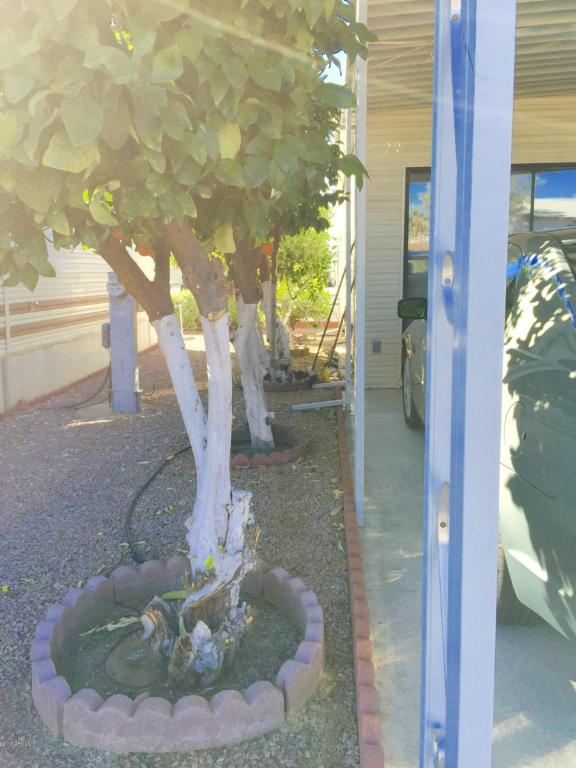 7750 E Broadway Rd #366, Mesa, AZ 85208 photo 37
