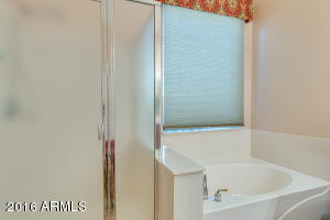 9555 E Monte Ave, Mesa, AZ 85209 photo 24