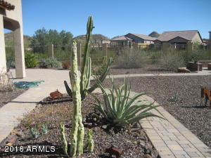 8833 E Ivy Cir, Mesa, AZ 85207 photo 5