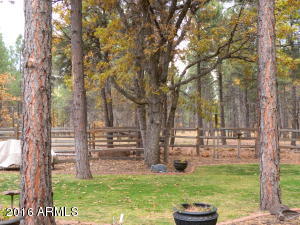 6089 E Olson Dr, Flagstaff, AZ 86004 photo 32