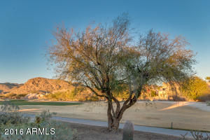 16005 S 12th Pl, Phoenix, AZ 85048 photo 32