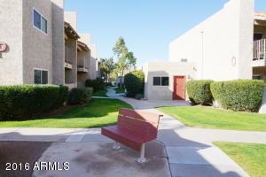 5525 E Thomas Rd #B5, Phoenix, AZ 85018 photo 4