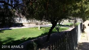 2543 E Del Rio Ct, Gilbert, AZ 85295 photo 33