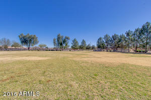 440 S Peppertree Dr, Gilbert, AZ 85296 photo 34