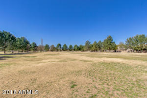 440 S Peppertree Dr, Gilbert, AZ 85296 photo 33