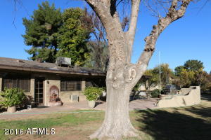 943 E Melody Dr, Gilbert, AZ 85234 photo 23