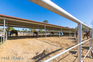 1025 El Freda Rd, Tempe, AZ 85284 photo 66