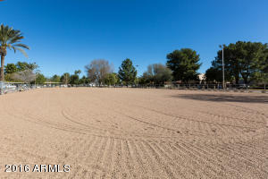 1025 El Freda Rd, Tempe, AZ 85284 photo 68