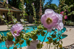 1025 El Freda Rd, Tempe, AZ 85284 photo 51
