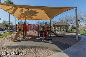 4223 E Gail Dr, Gilbert, AZ 85296 photo 28