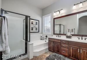 1073 E Hopkins Rd, Gilbert, AZ 85295 photo 11