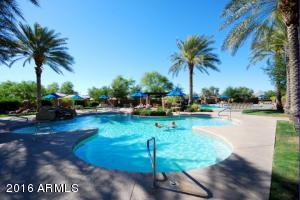 4680 E Azalea Dr, Gilbert, AZ 85298 photo 34