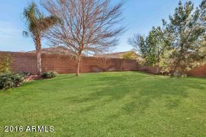 2557 S Martingale Rd, Gilbert, AZ 85295 photo 29