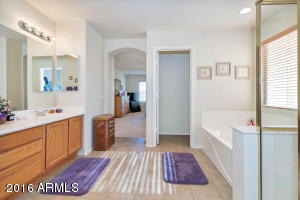 2557 S Martingale Rd, Gilbert, AZ 85295 photo 15