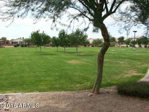 9907 Empress Ave, Mesa, AZ 85208 photo 15