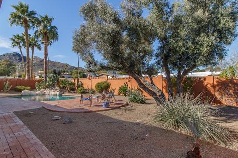 2434 E Turquoise Dr, Phoenix, AZ 85028 photo 29