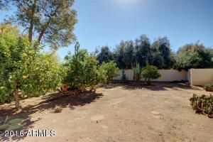 1503 E Greentree Dr, Tempe, AZ 85284 photo 33