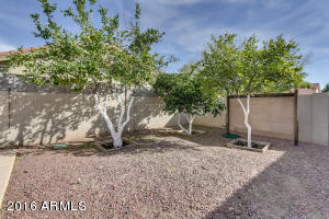 2728 E Kael St, Mesa, AZ 85213 photo 61