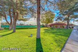 455 S Delaware Dr #149, Apache Junction, AZ 85120 photo 18