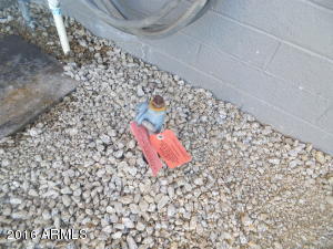 1648 E Aire Libre Ave, Phoenix, AZ 85022 photo 51