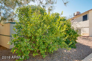 620 E Pinto Ct, Gilbert, AZ 85296 photo 45