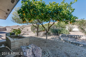11520 E Lindner Ave, Mesa, AZ 85209 photo 27