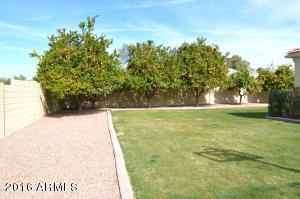 3638 E Redfield Ct, Gilbert, AZ 85234 photo 90