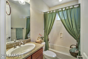 3542 E Robin Ln, Phoenix, AZ 85050 photo 18