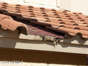 4559 E Betty Elyse Ln, Phoenix, AZ 85032 photo 10