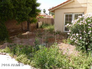 4559 E Betty Elyse Ln, Phoenix, AZ 85032 photo 4